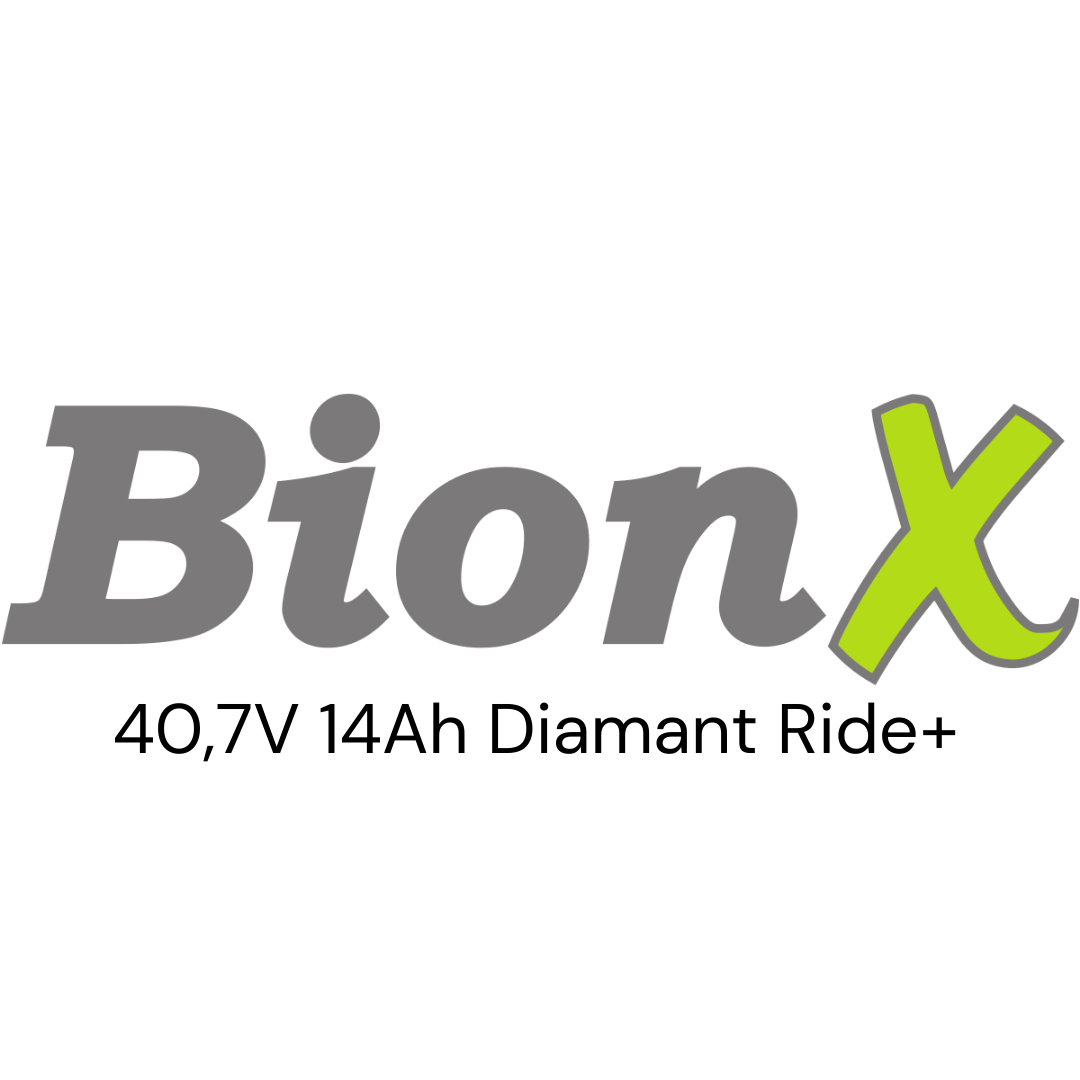 BionX 40,7V 14Ah Diamant Ride+ Gepäckträger E-Bike Akku Zellentausch