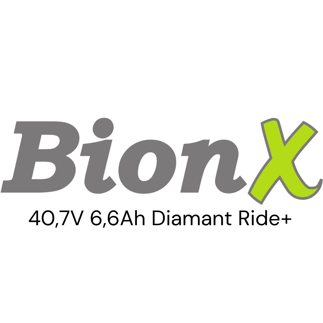 BionX 40,7V 6,6Ah Diamant Ride+ Gepäckträger E-Bike Akku Zellentausch