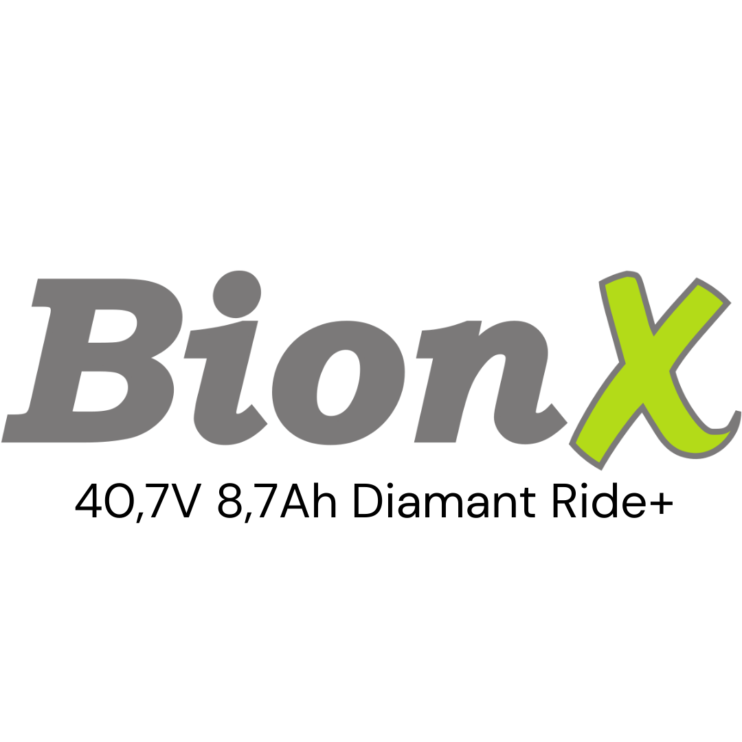 BionX 40,7V 8,7Ah Diamant Ride+ Gepäckträger E-Bike Akku Zellentausch