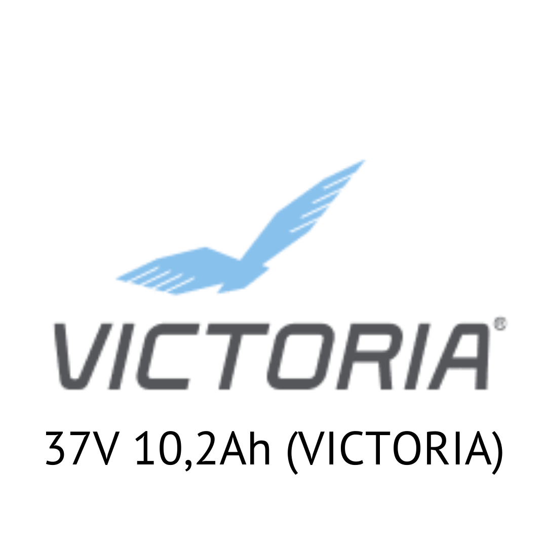 CLEAN AIR BIKE 37V 10,2Ah (VICTORIA) - Zellentausch