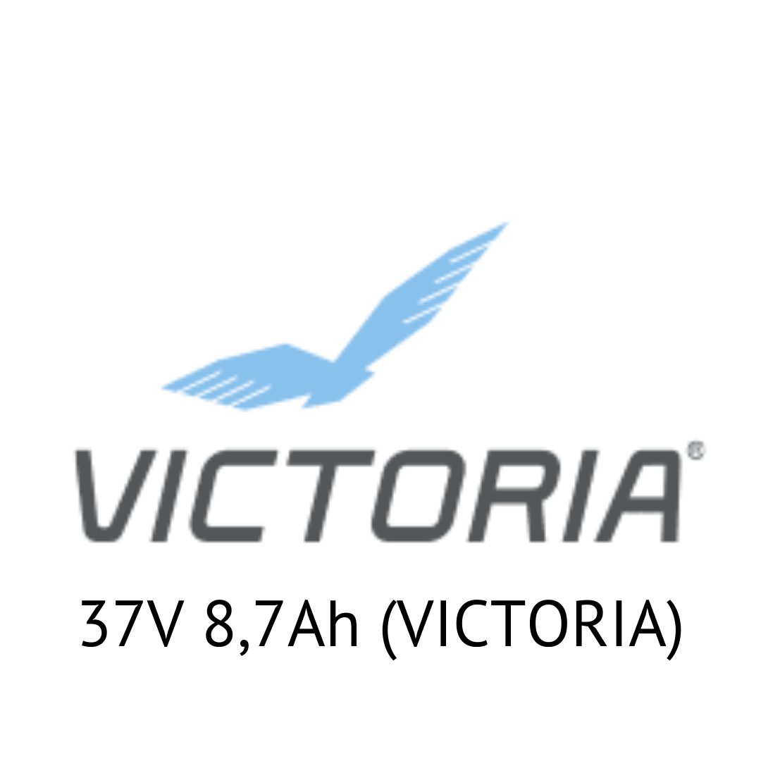 CLEAN AIR BIKE 37V 8,7Ah (VICTORIA) - Zellentausch