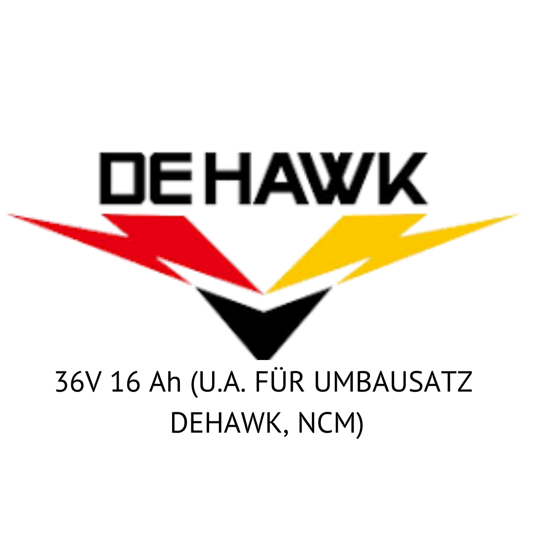 LI-ION BATTERY R007 36V 16 Ah (U.A. FÜR UMBAUSATZ DEHAWK, NCM)TFL PRO E-BIKE BATTERY 36V (U.A. FÜR UMBAUSATZ DEHAWK, NCM) #1 - Zellentausch