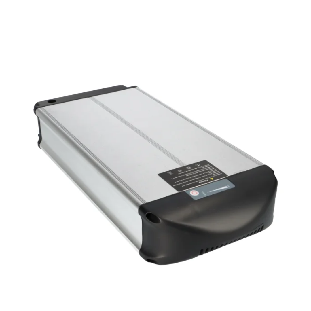 ZHENLONG DOLPHIN 24V 17,4 Ah (U.A. FÜR UMBAUSATZ DEHAWK, PROPHETE, MIFA) - Zellentausch