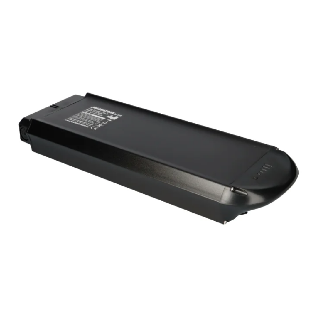 PROPHETE TRIO 36V 10,4 Ah - Zellentausch