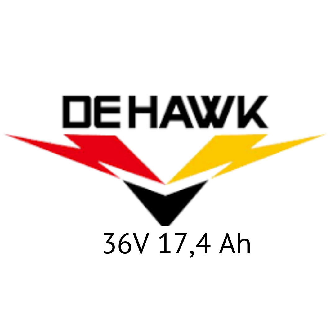 SACHS / DEHAWK 36V 17,4 Ah - Zellentausch