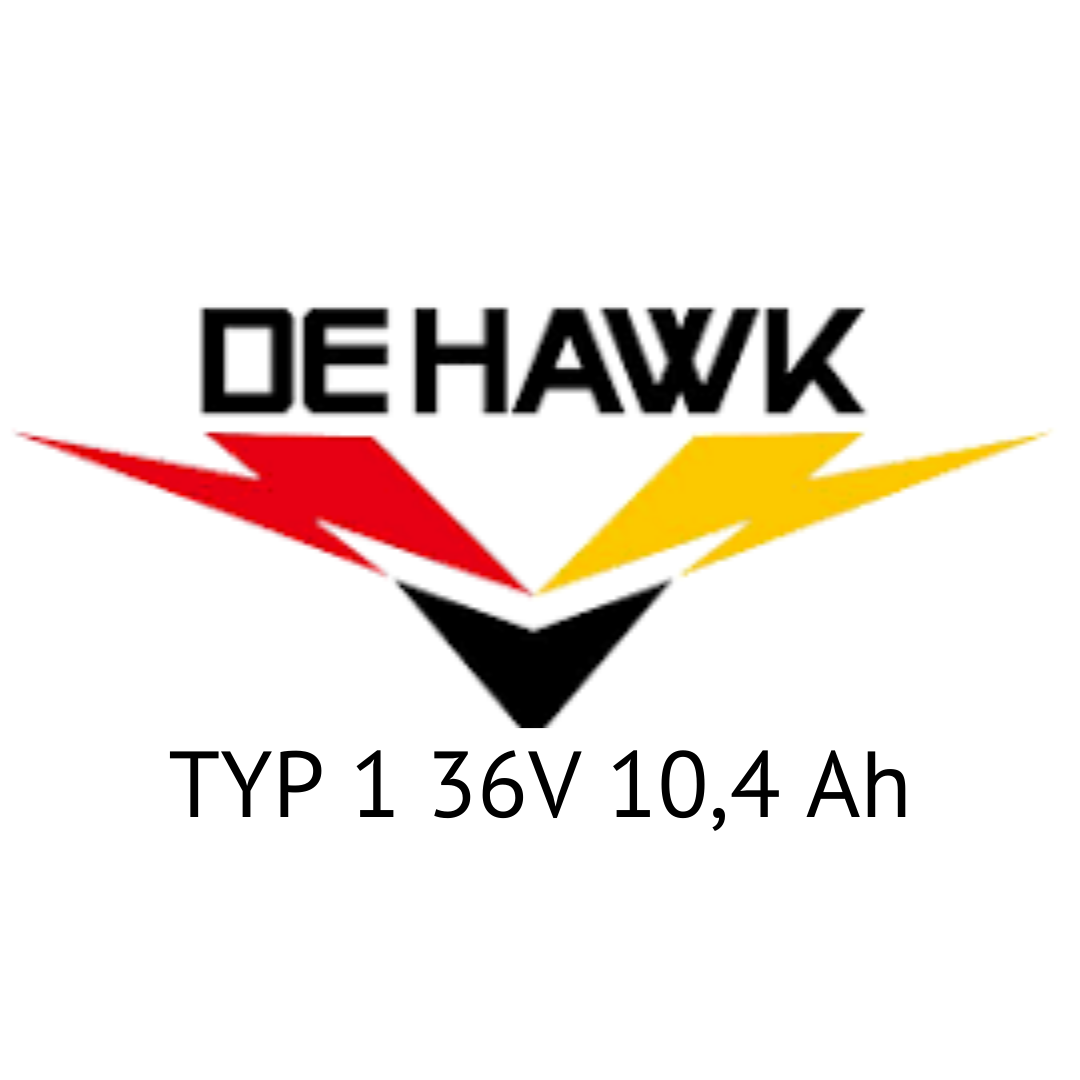 STELLA / DEHAWK TYP 1 36V 10,4 Ah - Zellentausch