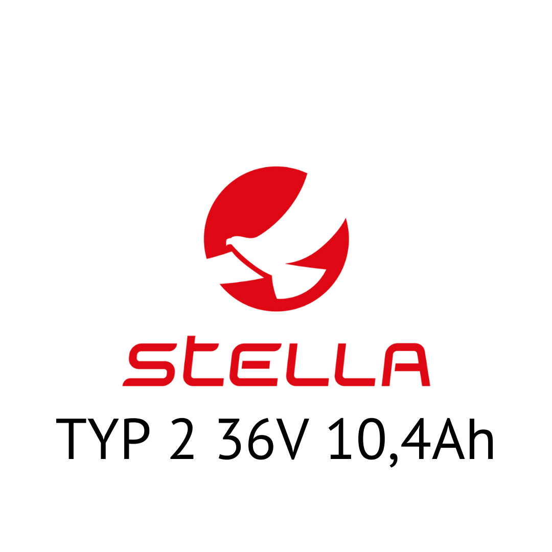 STELLA TYP 2 36V 10,4Ah - Zellentausch
