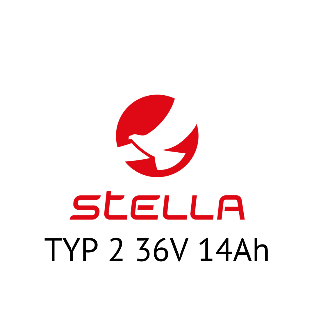 STELLA TYP 2 36V 14Ah - Zellentausch