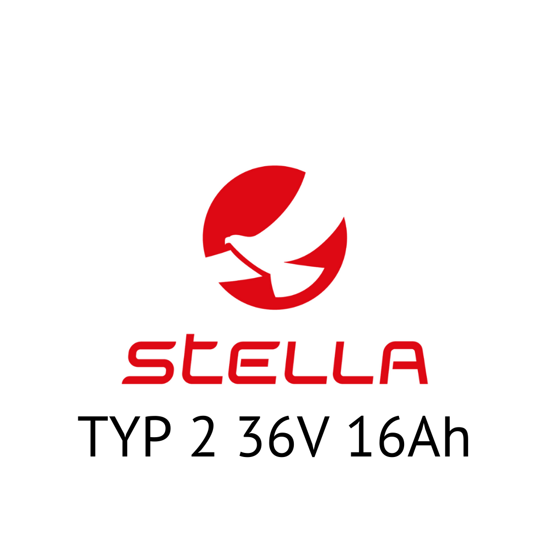 STELLA TYP 2 36V 16Ah - Zellentausch