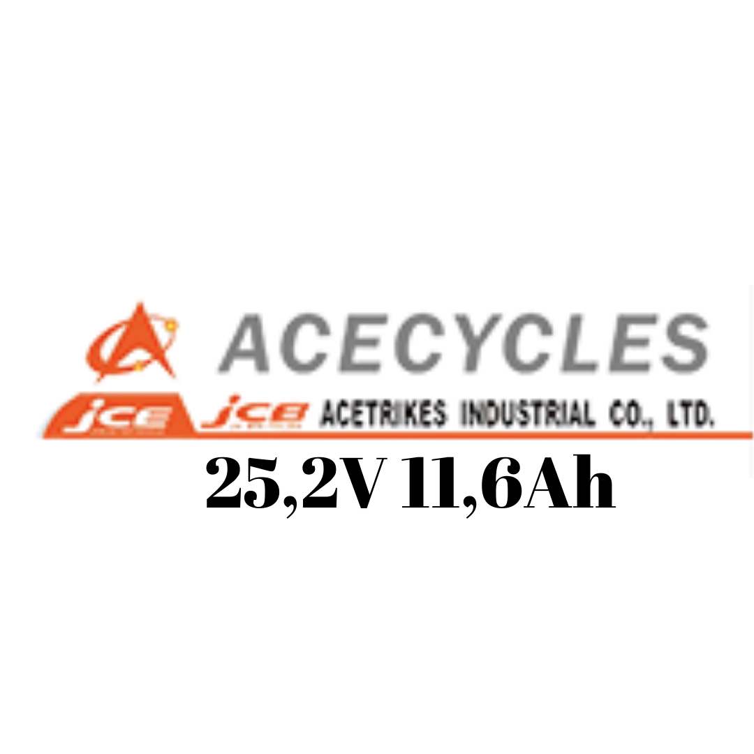 Acecycles 25,2V 11,6Ah Gepäckträger E-Bike Akku Zellentausch