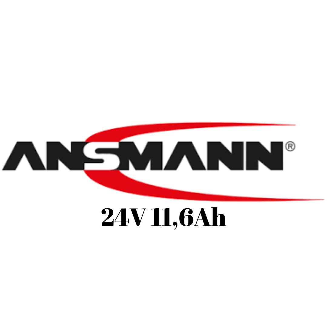 Ansmann 24V 11,6Ah Pedelec VICTORIA BBF E-Bike Akku Zellentausch