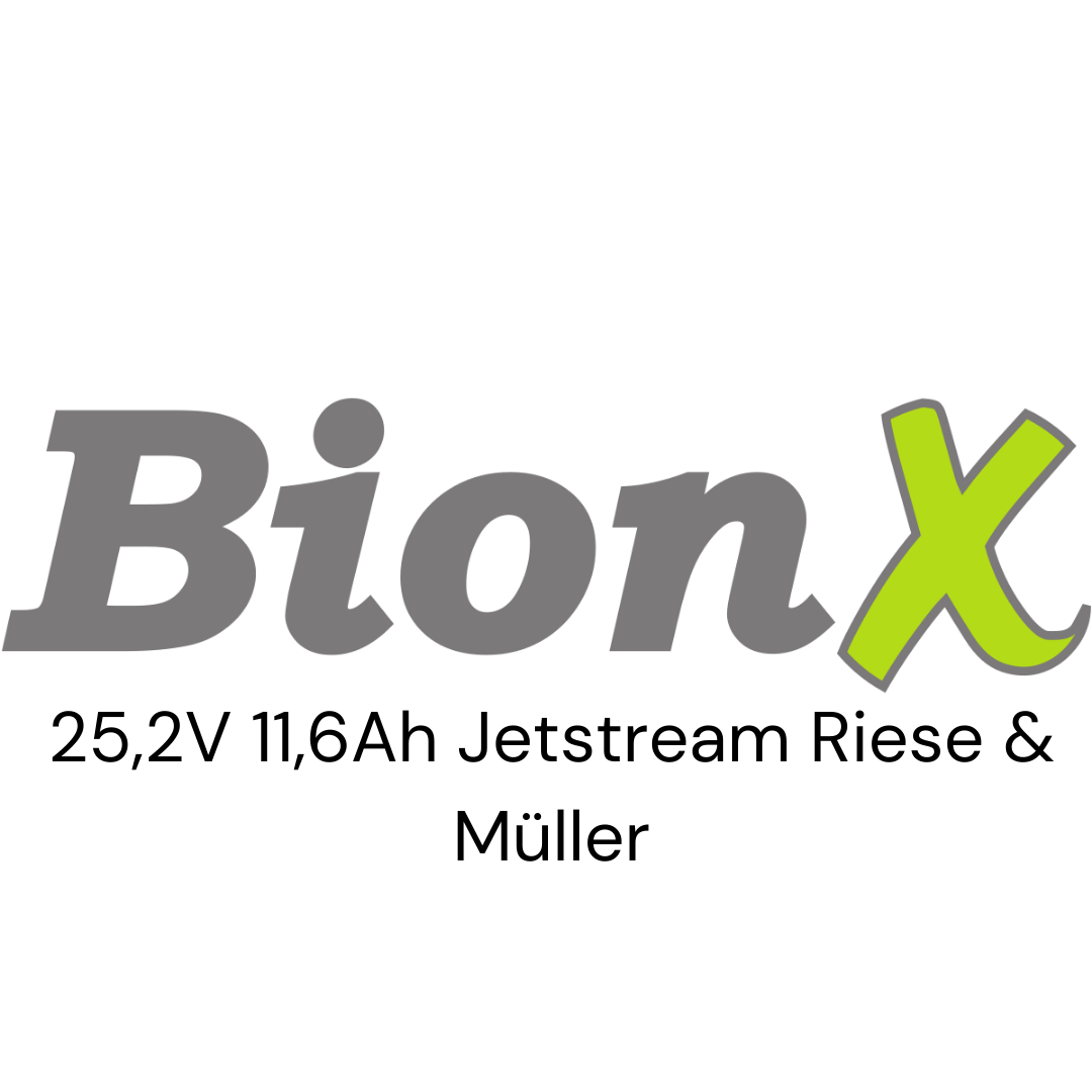 BionX 25,2V 11,6Ah Jetstream Riese & Müller E-Bike Akku Zellentausch