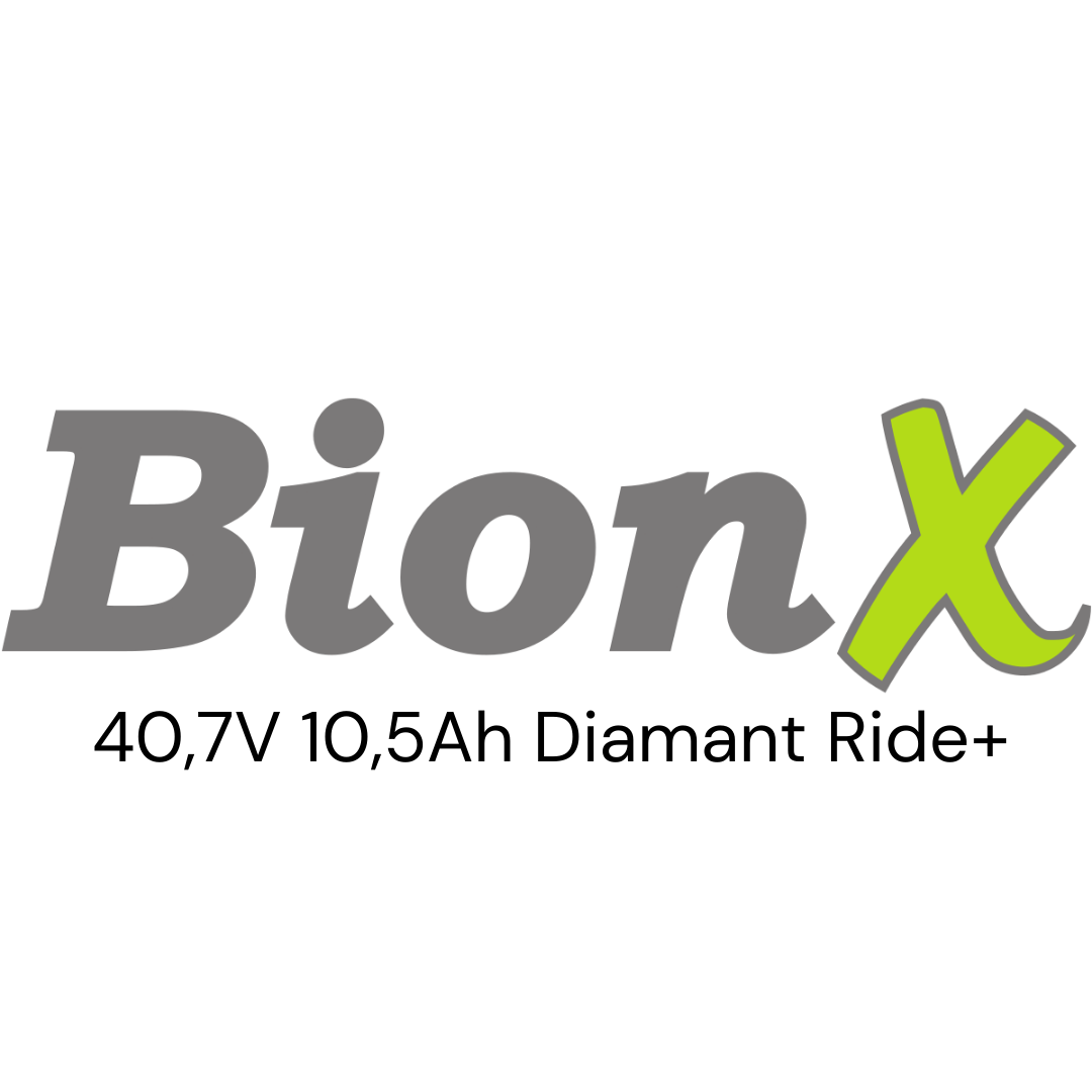 BionX 40,7V 10,5Ah Diamant Ride+ Gepäckträger E-Bike Akku Zellentausch