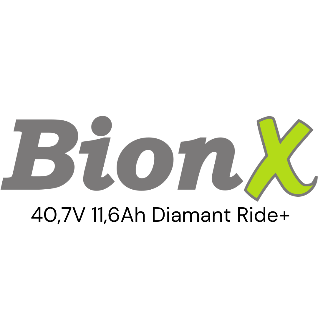 BionX 40,7V 11,6Ah Diamant Ride+ Gepäckträger E-Bike Akku Zellentausch