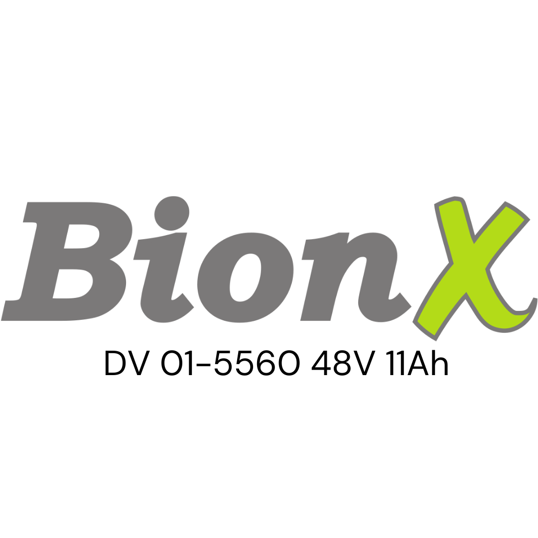 BIONX DV 01-5560 48V 11Ah Zellentausch