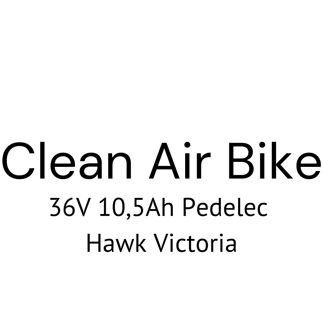 Clean Air Bike 36V 10,5Ah Pedelec Hawk Victoria E-Bike Akku Zellentausch