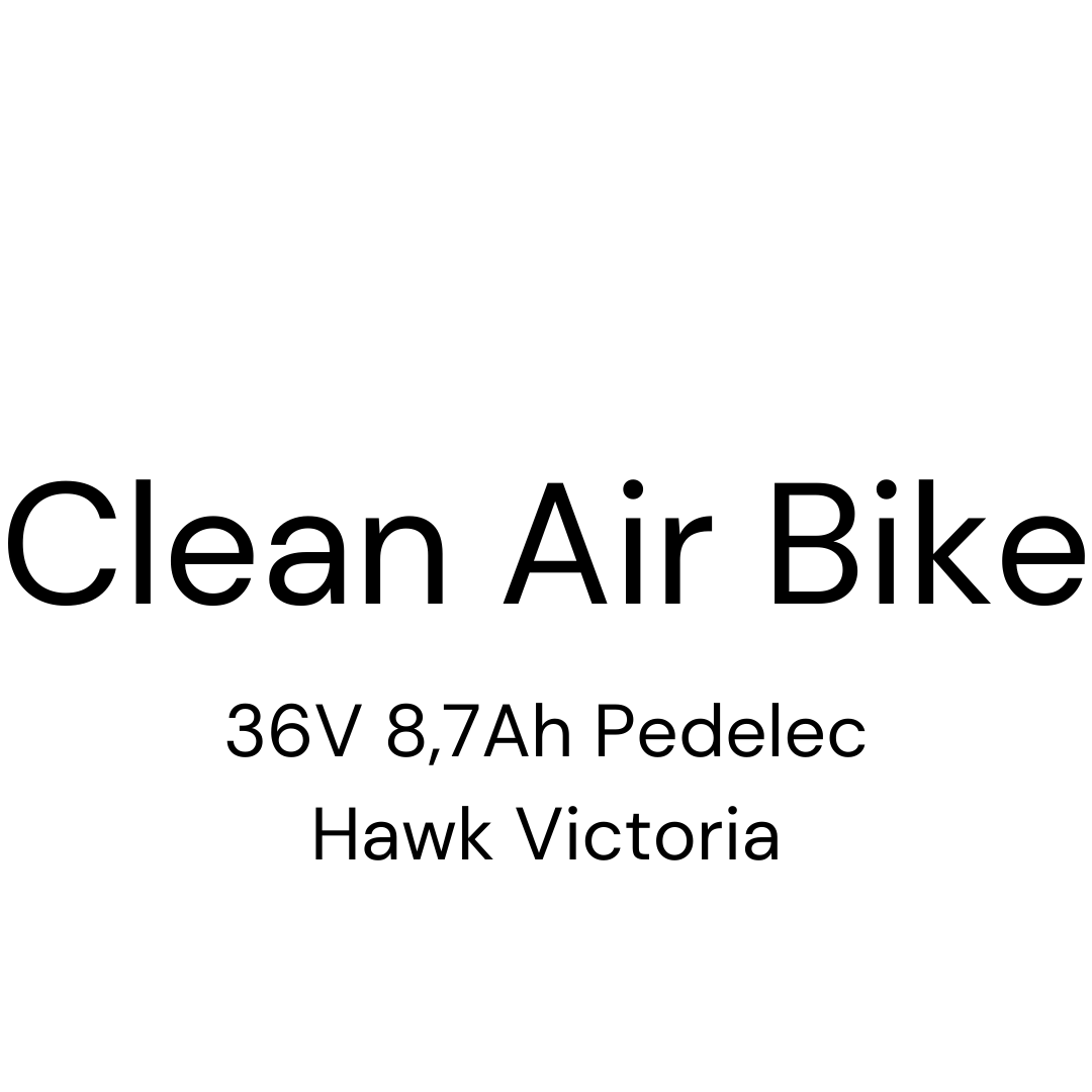 Clean Air Bike 36V 8,7Ah Pedelec Hawk Victoria E-Bike Akku Zellentausch