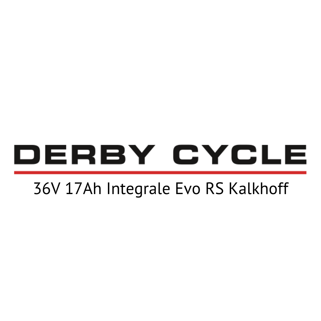 Derby Cycle 36V 17Ah Integrale Evo RS Kalkhoff E-Bike Akku Zellentausch Standard