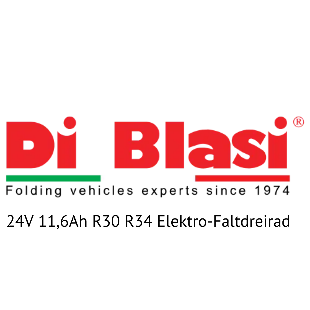 Di Blasi 24V 11,6Ah R30 R34 Elektro-Faltdreirad E-Bike Akku Zellentausch