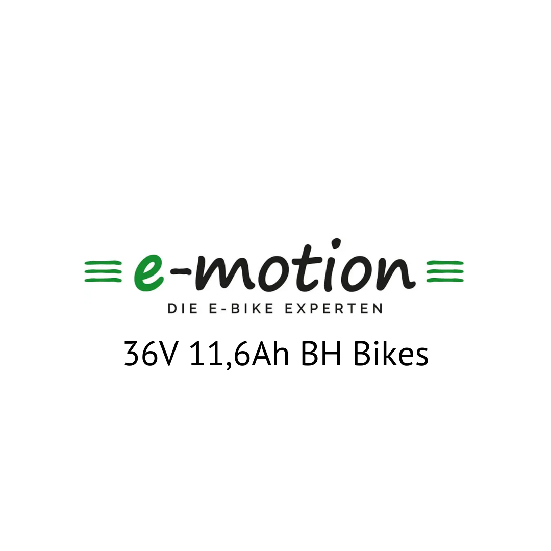 Easy Motion 36V 11,6Ah BH Bikes E-Bike Akku Zellentausch