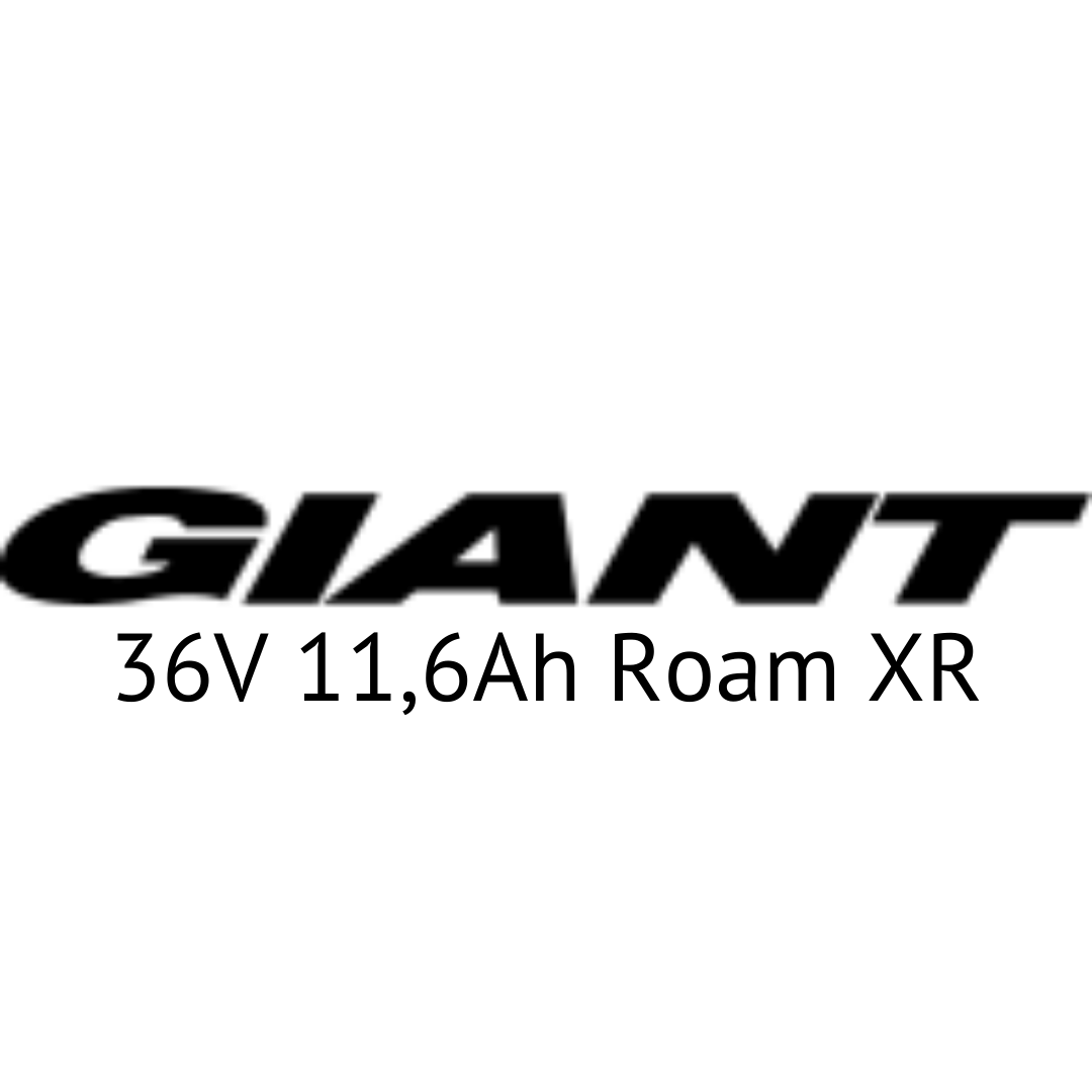 Giant 36V 11,6Ah Roam XR Hybrid E-Bike Akku Zellentausch