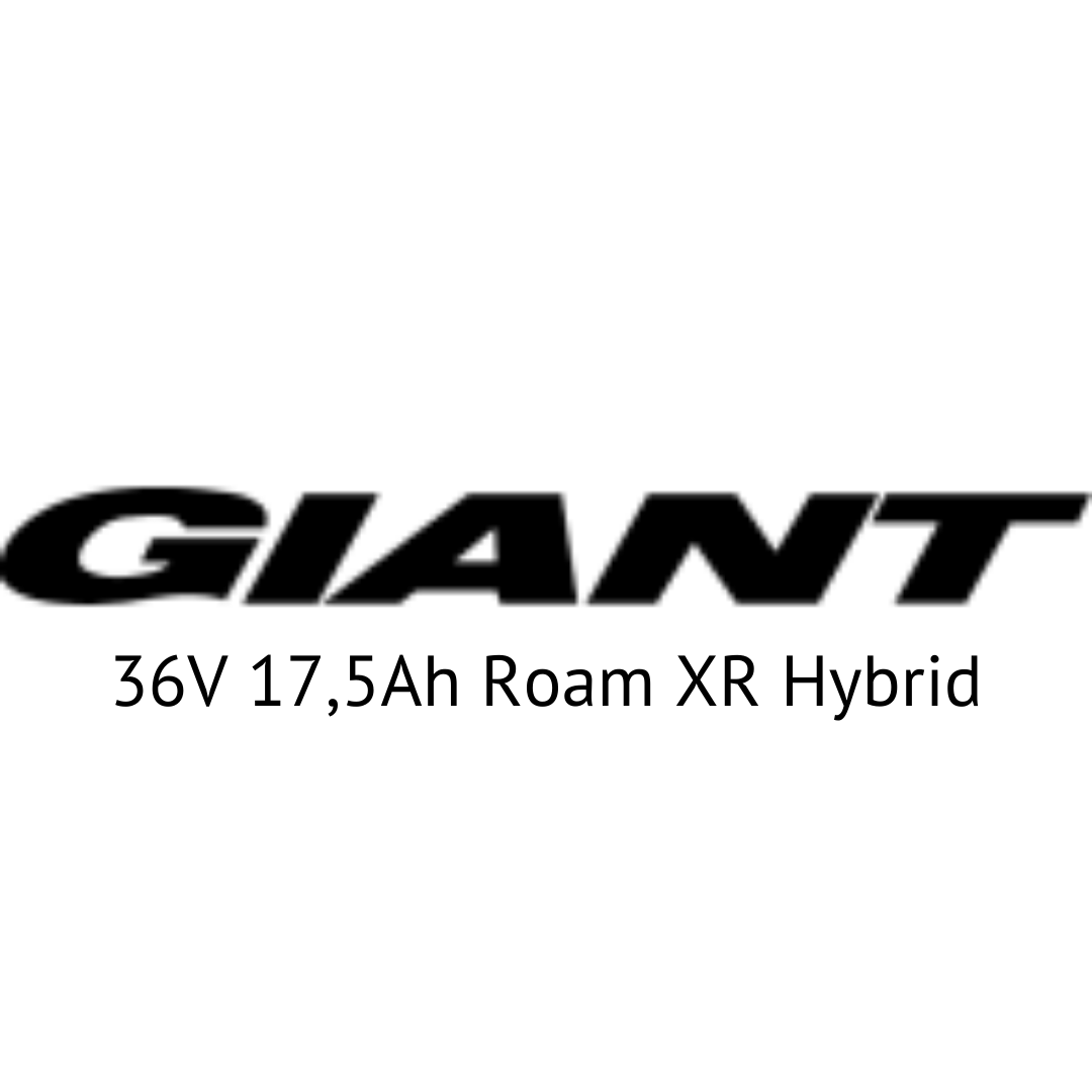 Giant 36V 17,5Ah Roam XR Hybrid E-Bike Akku Zellentausch