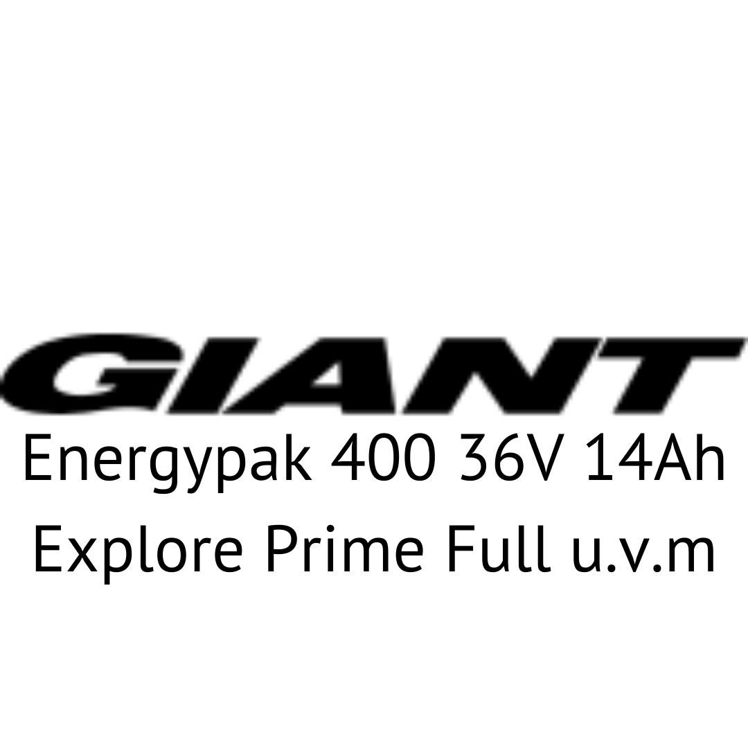 Giant Energypak 400 36V 14Ah Explore Prime Full u.v.m E-Bike Akku Zellentausch