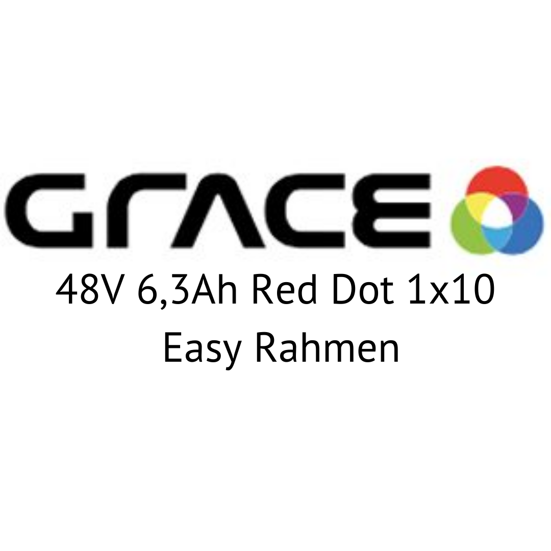 Grace Easy 48V 6,3Ah Red Dot 1x10 Easy Rahmen E-Bike Akku