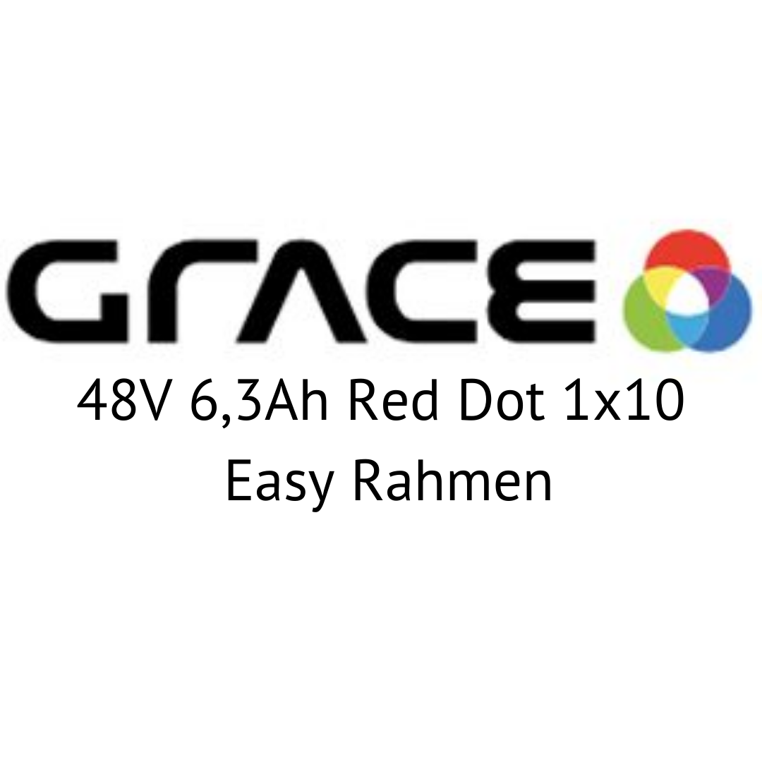 Grace Easy 48V 6,3Ah Red Dot 1x10 Easy Rahmen E-Bike Akku Zellentausch