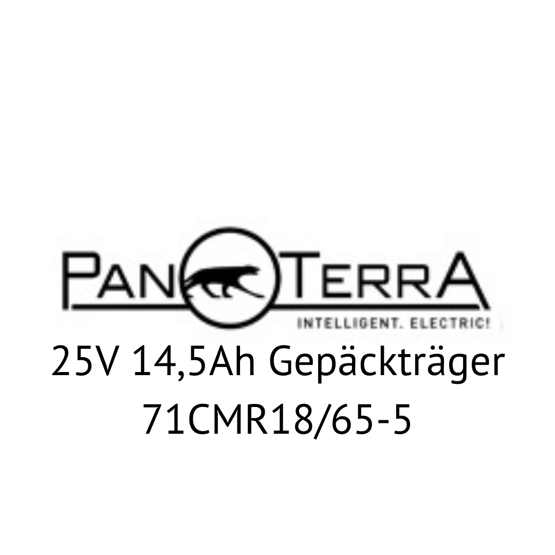 Panterra 25V 14,5Ah Gepäckträger 71CMR18/65-5 E-Bike Akku Zellentausch