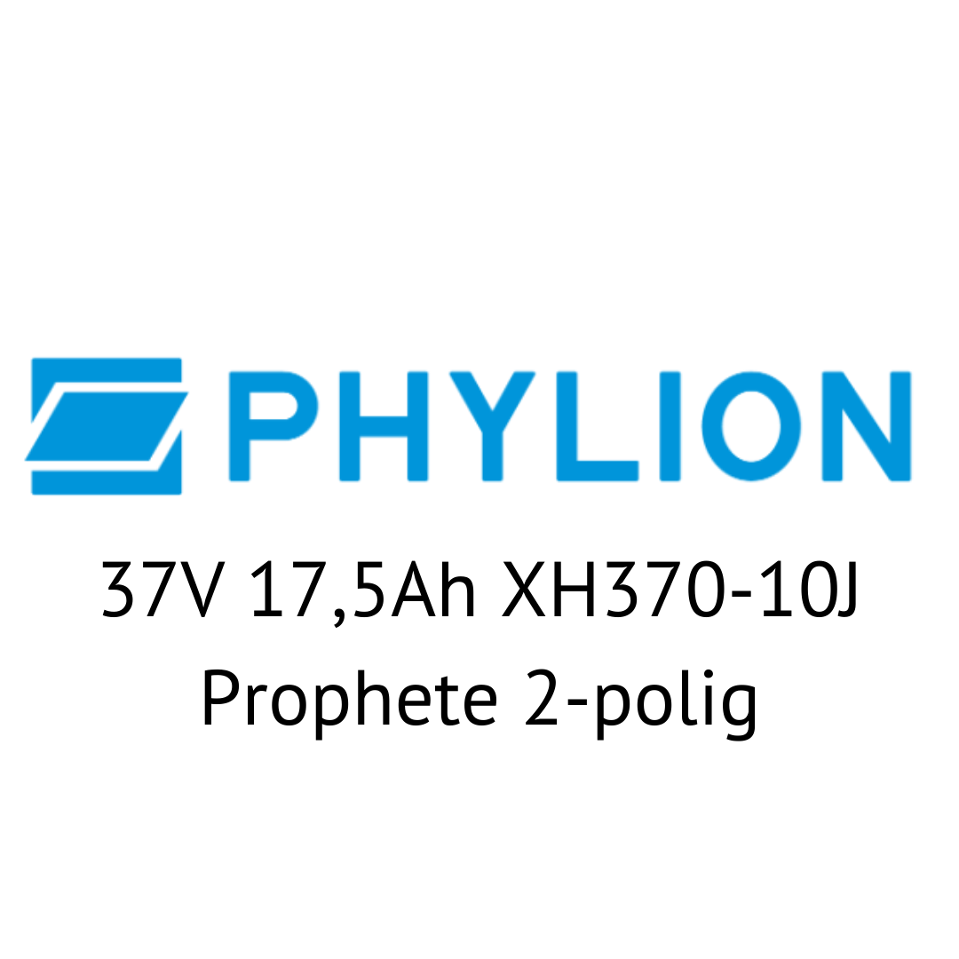 Phylion 37V 17,5Ah XH370-10J Prophete 2-polig E-Bike Akku Zellentausch