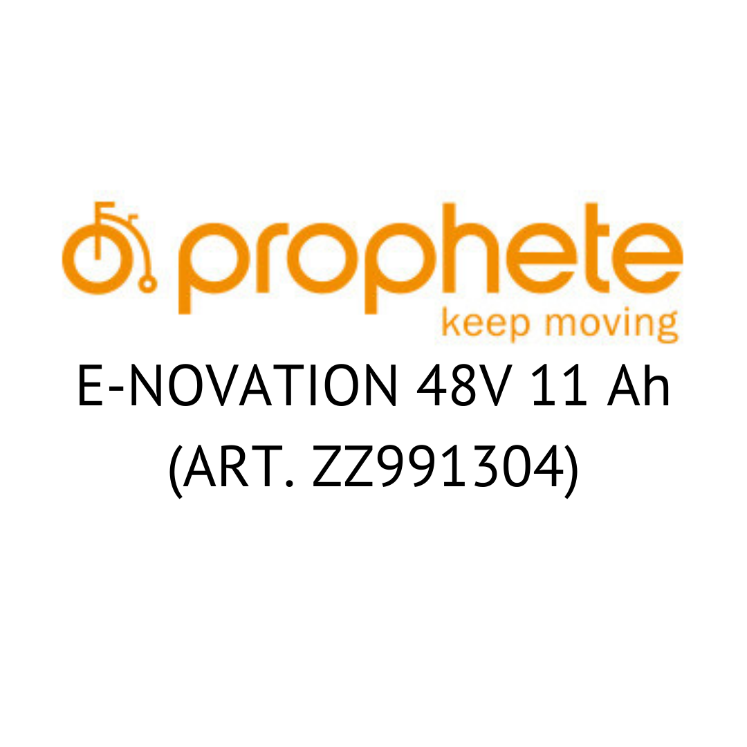 PROPHETE E-NOVATION 48V 11 Ah  (ART. ZZ991304)