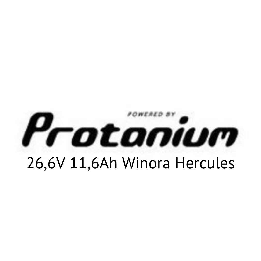 Protanium 26,6V 11,6Ah Winora Hercules E-Bike Akku Zellentausch