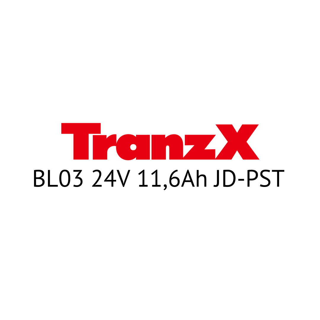 TranzX BL03 24V 11,6Ah JD-PST E-Bike Akku Zellentausch