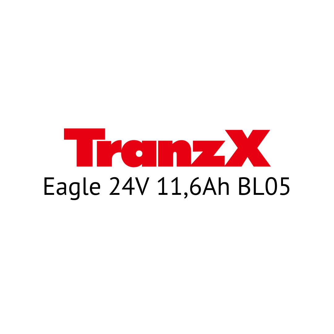 TranzX Eagle 24V 11,6Ah BL05 E-Bike Akku Zellentausch