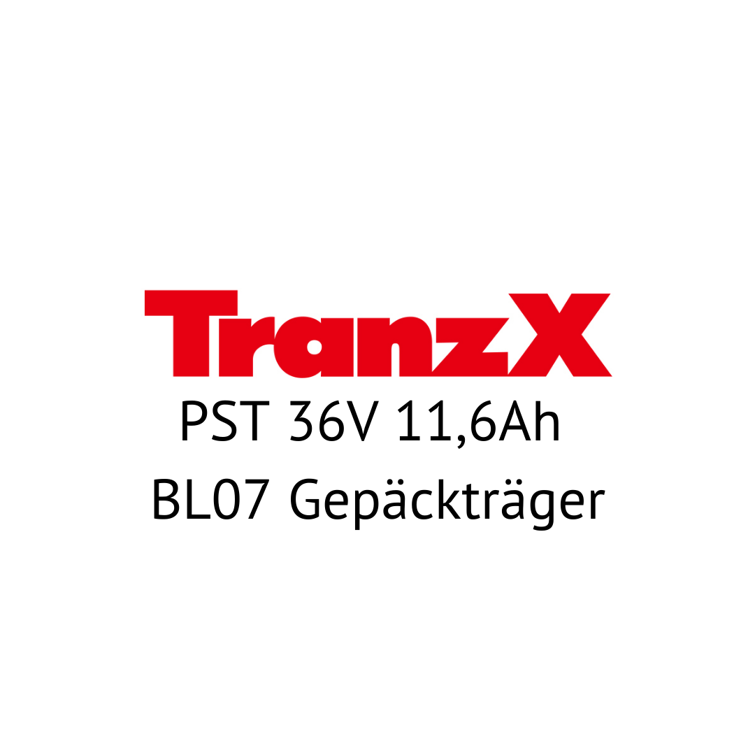 TranzX PST 36V 11,6Ah BL07 Gepäckträger E-Bike Akku Zellentausch